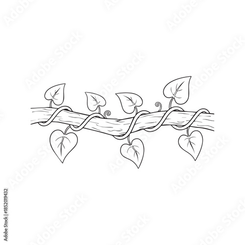 Hand Drawn Twisted Vine Wrapped Around Tree Branch With Leaves Black And White Line Art Sketch
