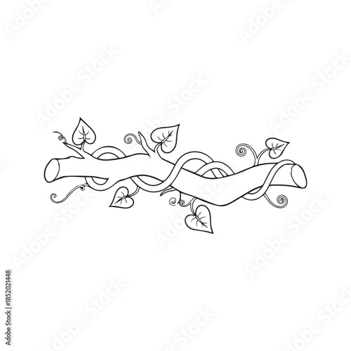 Hand Drawn Twisted Vine Wrapped Around Tree Branch With Leaves Black And White Line Art Sketch
