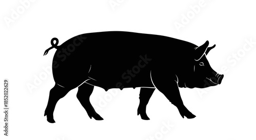 Silhouette of a Black Pig Walking Isolated on White Background Farm Animal Graphic for Livestock and Agriculture