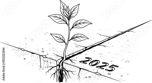 Plant Growing From Crack 2025 Concrete Vector Illustration Resilience

