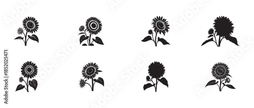 Set of eight black sunflower silhouettes in various compositions with leaves and smaller sunflower buds