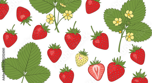 Hand Drawn Strawberry Seamless Pattern Vector Illustration with Fruits Leaves and Blossoms