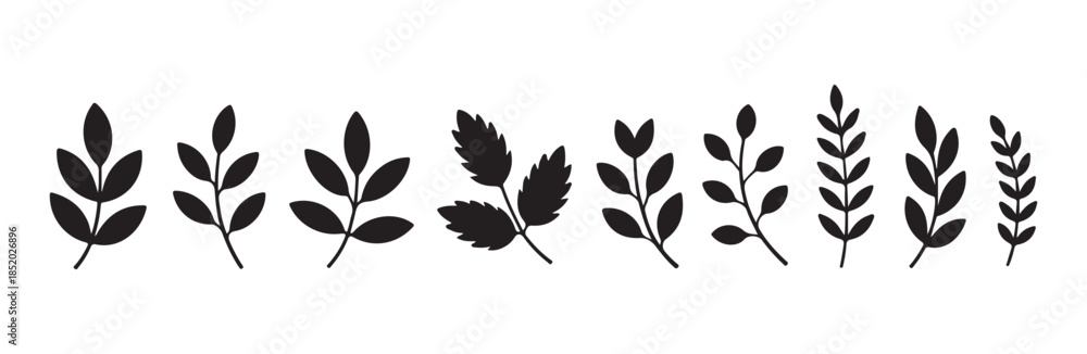 Obraz premium Collection of diverse leaf elements. set of various botanical vector silhouettes for natural and organic designs