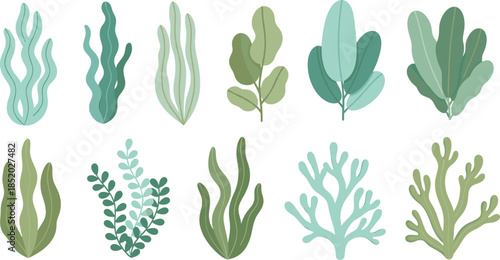 Modern organic plant shapes collection with abstract leaves and algae flat vector illustration