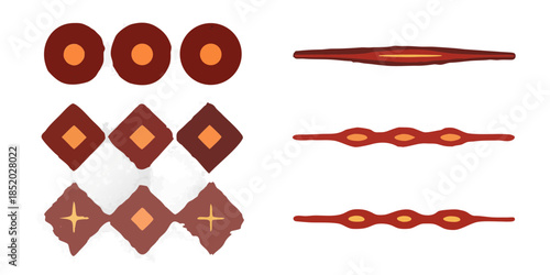 Illustrations of red blood cells in various shapes and arrangements