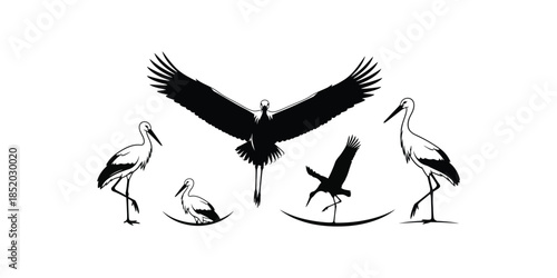 A set of flamingo fly and stand silhouette logo.