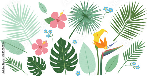 Summer tropical plant elements set with palm leaves and colorful flowers flat vector illustration