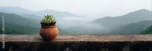 Small green succulent plant in rustic terracotta pot on concrete ledge overlooking misty mountain valley panoramic landscape view
