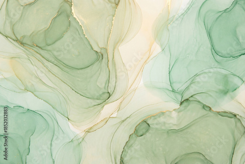 Wallpaper Mural Abstract green watercolor alcohol ink background Torontodigital.ca