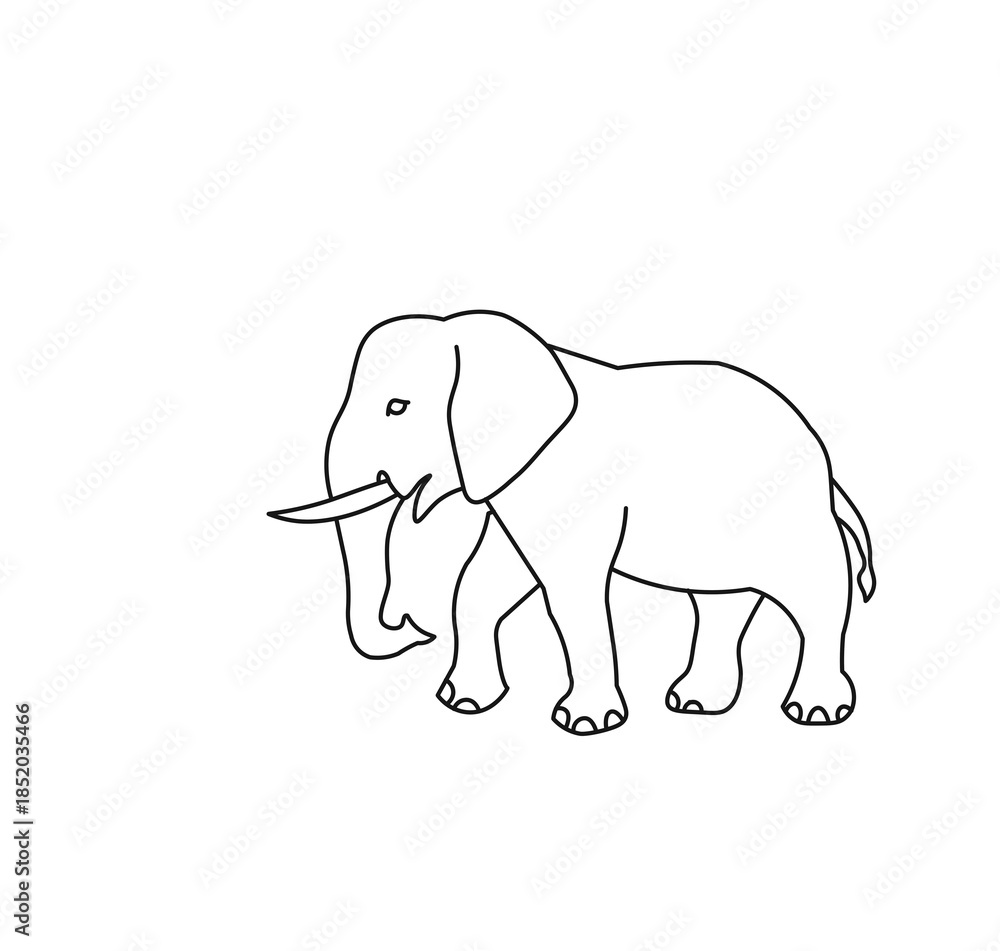 Fototapeta premium elephant vector illustration