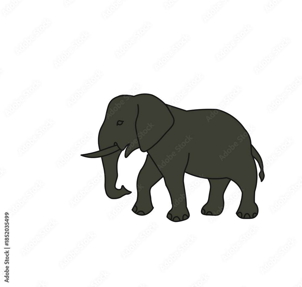 Obraz premium elephant isolated on white background