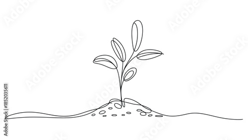 Minimal line art illustration of young plant sprout growing from soil representing nature growth sustainability concept isolated on white background