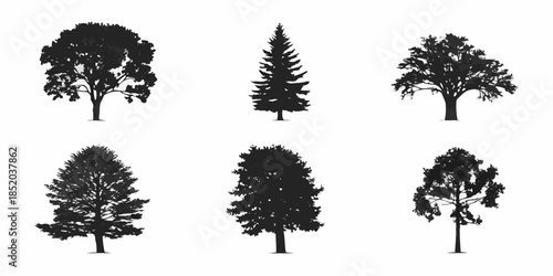 Silhouettes of various tree types against a plain white background