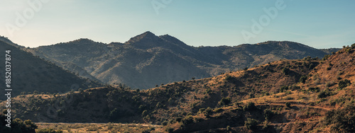 Hills with olive trees in sunlight under a blue sky. Almogia, Malaga, Andalusia, Spain.
