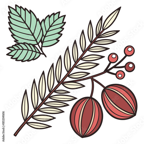 set of autumn leaves and fruits