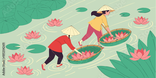 Two women wearing conical hats harvest beautiful pink lotus flowers from a pond in an illustration