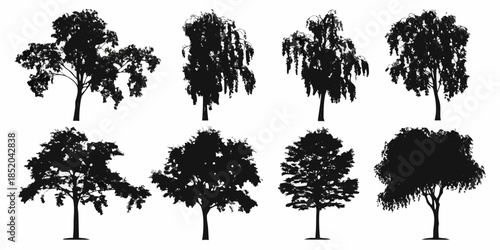 A collection of various tree silhouettes against a plain white background