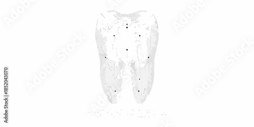 Detailed illustration of a human molar tooth with marked anatomical points