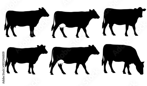 Cow silhouette vector set in different standing and walking poses side view dairy cattle eps 10