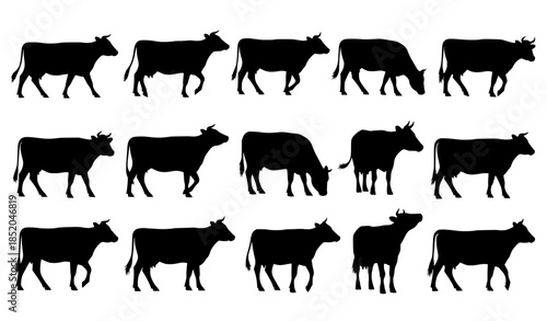 Dairy cow silhouette set with dynamic movement poses side view farm animal vector eps 10