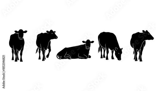 Side view cow silhouette vector collection with calm dairy cattle poses eps 10