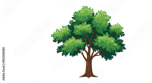 Full green leafy tree with a sturdy brown trunk and many branches isolated on a white background for landscape design.