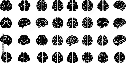 set of vectors of brains