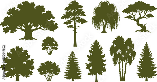 Silhouettes of various trees and bushes in a natural landscape, showcasing diverse plant life and botanical diversity