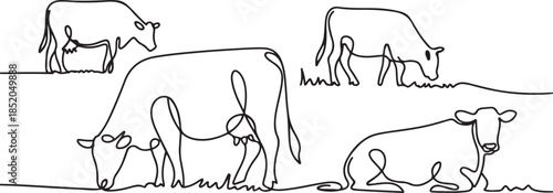 Cows on pasture in One continuous line drawing.one line  vector illustration  with out background