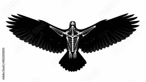 A striking black bird with visible white skeleton structure in flight.
