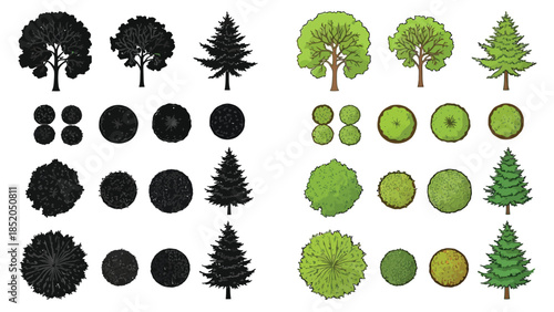 Collection of stylized trees with both top and bottom views presented