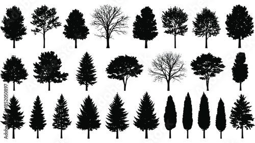 Collection of silhouetted trees in various shapes and sizes against white background