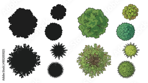 An assortment of trees viewed from above in various colors and shapes