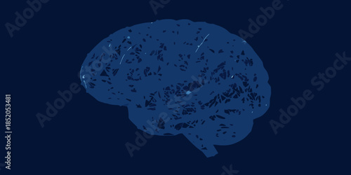 A detailed illustration of the human brain against a dark blue background