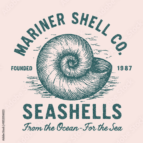 Mariner shell co. Seashells. from the ocean. for the sea. Seashell graphic print design for t shirt. Sound of the sea. Seashell graphic print design for t-shirt,  vintage seashell print art. Sketch of