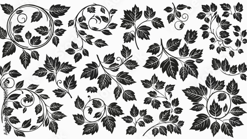 Vintage Botanical Illustration of Maple Leaves and Swirling Vines.