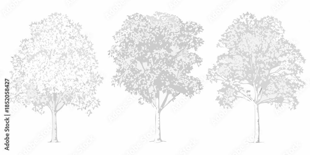 Fototapeta premium Three detailed trees with varying foliage styles in a grayscale illustration