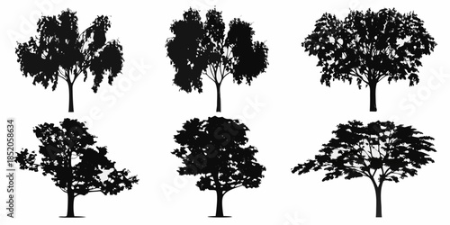 Silhouettes of various deciduous trees against a white background