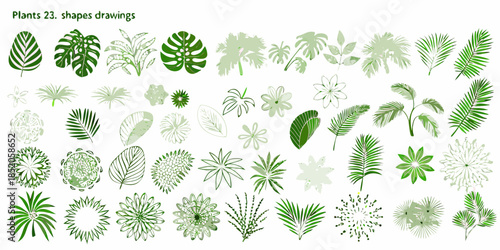 Collection of diverse tropical leaf and floral shapes in shades of green