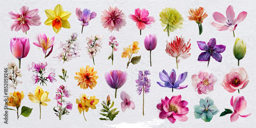 A beautiful collage of various colorful flowers arranged in a grid pattern, showcasing a diverse range of species and hues.