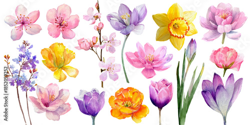 A collection of various colorful flowers, including tulips, daffodils, cherry blossoms, and more, arranged beautifully in a bouquet.