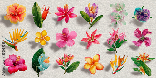 A collection of beautifully illustrated tropical flowers, showcasing a variety of vibrant colors and intricate details.