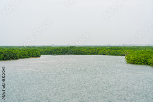 Mangrove trees lining the Casamance River under an overcast sky. High angle view with vast water surface and copy space in the foreground
