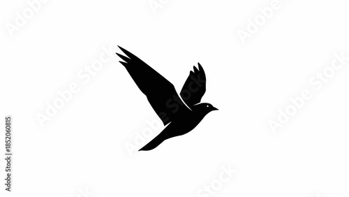 Silhouette of a bird in flight with wings spread wide.