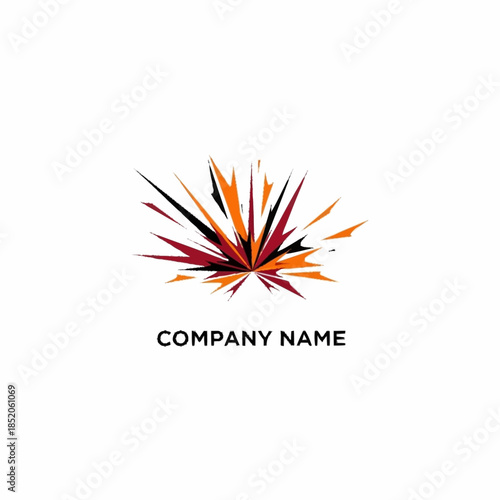 Abstract Burst of Colors - Dynamic and Energetic Logo Design.