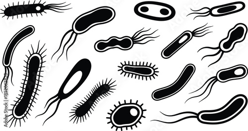 Illustration of various microscopic bacteria and microorganisms