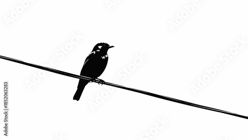 A solitary black bird perched on a wire against a stark white background.