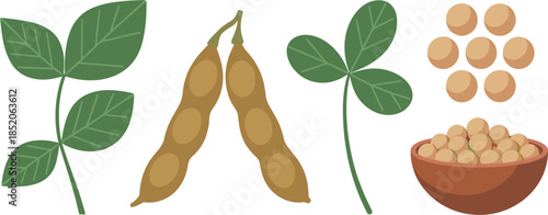 Flat Vector Illustration of Forklift Trucks in Various Operational Poses Handling Pallet Cargo