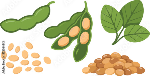 Flat Vector Illustration of Soybean Elements Featuring Green Pods Dried Seeds Leaves and Grain Pile