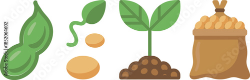 Flat Vector Illustration of Soybean Life Cycle Featuring Pod Sprout Plant and Harvest Sack